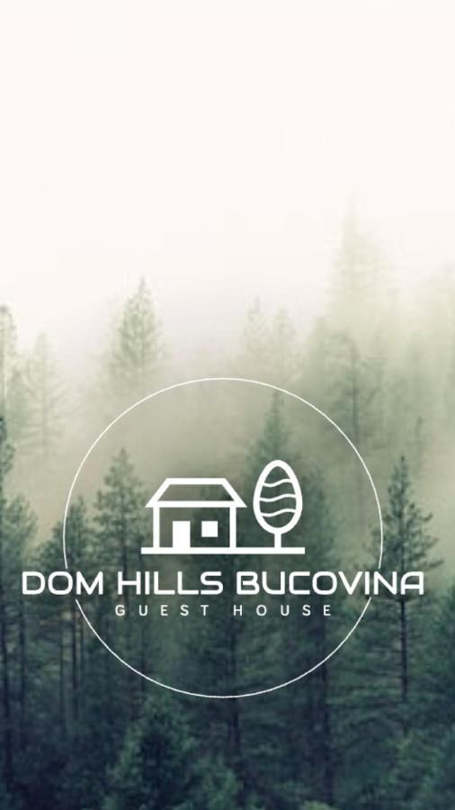 Dom Hills Bucovina Hotel Gura Humorului Buitenkant foto
